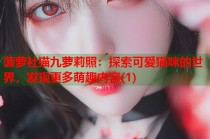 菠萝社猫九萝莉照：探索可爱猫咪的世界，发现更多萌趣内容(1)