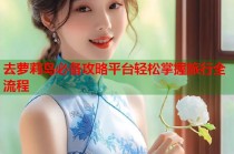 去萝莉岛必备攻略平台轻松掌握旅行全流程