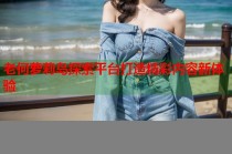 老何萝莉岛探索平台打造精彩内容新体验