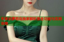 专家谈萝莉岛独家解析最全功能与实用攻略