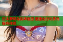 日本萝莉岛机场枢纽 便捷出行与多元服务体验