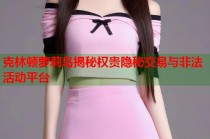 克林顿萝莉岛揭秘权贵隐秘交易与非法活动平台