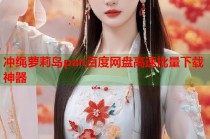 冲绳萝莉岛pan百度网盘高速批量下载神器