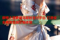 摩根大通萝莉岛即时支付平台 打造安全高效金融交易体验