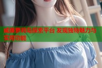 威廉萝莉岛探索平台 发现独特魅力与实用功能