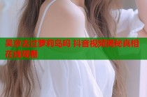 吴京去过萝莉岛吗 抖音视频揭秘真相在线观看