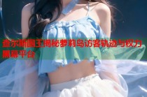 查尔斯国王揭秘萝莉岛访客轨迹与权力黑幕平台