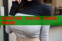 全球领先导航：实时交通、街景视图、离线地图