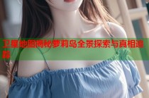 卫星地图揭秘萝莉岛全景探索与真相追踪