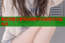 奥巴马登上萝莉岛揭秘平台真相与功能亮点