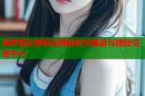 佛罗里达萝莉岛揭秘权贵黑幕与隐秘交易中心