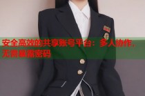 安全高效的共享账号平台：多人协作，无需暴露密码