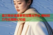 查尔斯安德鲁萝莉岛曝光平台 揭秘权力与丑闻核心功能