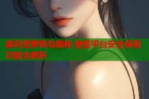 美利坚萝莉岛揭秘 绝密平台安全保密功能全解析