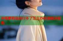 冲绳萝莉岛运行不了怎么办快速解决指南