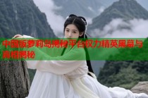 中国版萝莉岛揭秘平台权力精英黑幕与真相揭秘