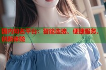 国内知名平台：智能连接、便捷服务、创新体验