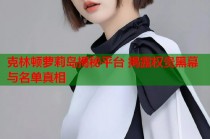 克林顿萝莉岛揭秘平台 揭露权贵黑幕与名单真相