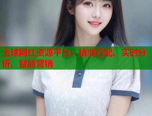 全球网红资源平台：精准匹配、实时分析、智能营销  第1张