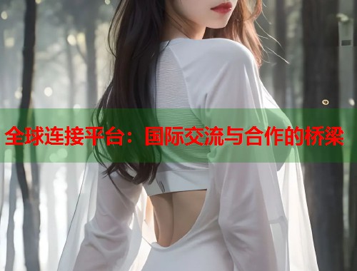 全球连接平台：国际交流与合作的桥梁  第1张