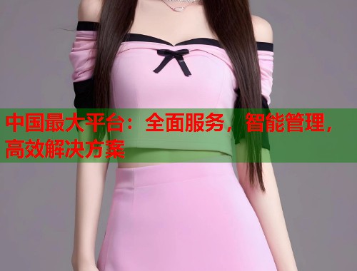 中国最大平台：全面服务，智能管理，高效解决方案  第1张