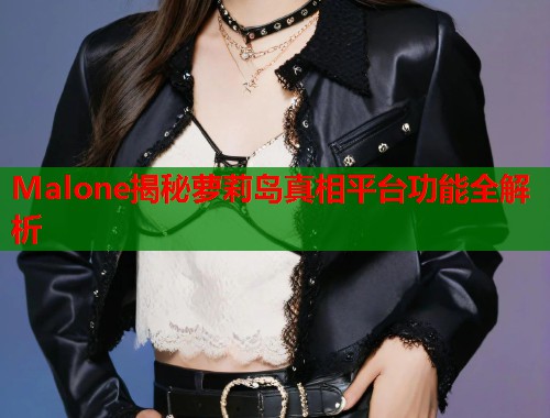 Malone揭秘萝莉岛真相平台功能全解析  第1张