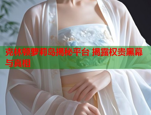 克林顿萝莉岛揭秘平台 揭露权贵黑幕与真相  第1张