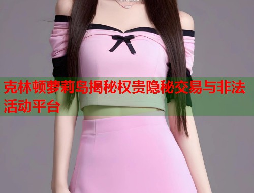 克林顿萝莉岛揭秘权贵隐秘交易与非法活动平台  第1张