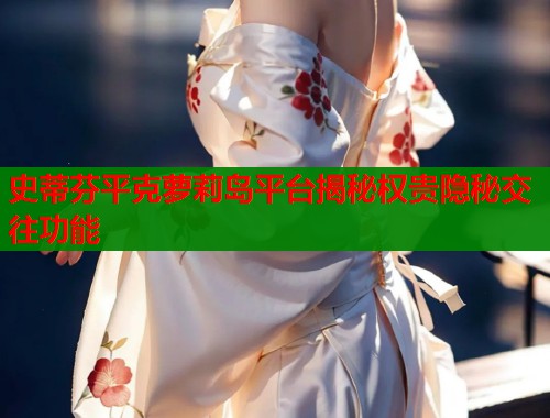 史蒂芬平克萝莉岛平台揭秘权贵隐秘交往功能  第1张