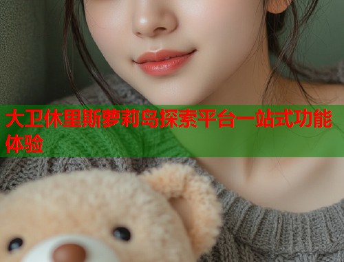 大卫休里斯萝莉岛探索平台一站式功能体验  第1张