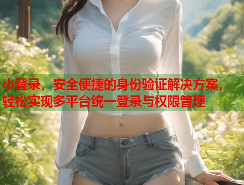 小登录，安全便捷的身份验证解决方案，轻松实现多平台统一登录与权限管理  第1张