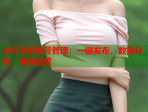 小红书多账号管理：一键发布，数据分析，高效运营  第1张
