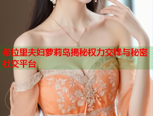 希拉里夫妇萝莉岛揭秘权力交锋与秘密社交平台  第2张