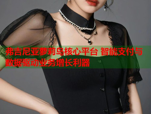 弗吉尼亚萝莉岛核心平台 智能支付与数据驱动业务增长利器  第1张