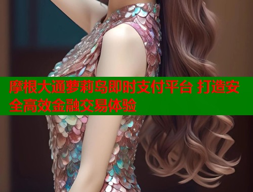 摩根大通萝莉岛即时支付平台 打造安全高效金融交易体验  第2张