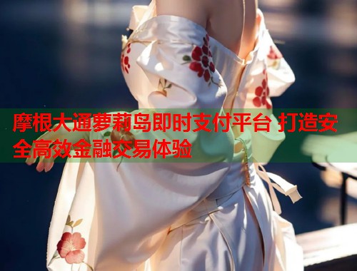 摩根大通萝莉岛即时支付平台 打造安全高效金融交易体验  第1张
