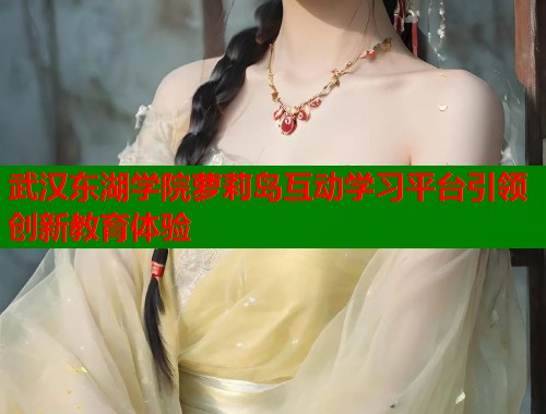武汉东湖学院萝莉岛互动学习平台引领创新教育体验  第1张