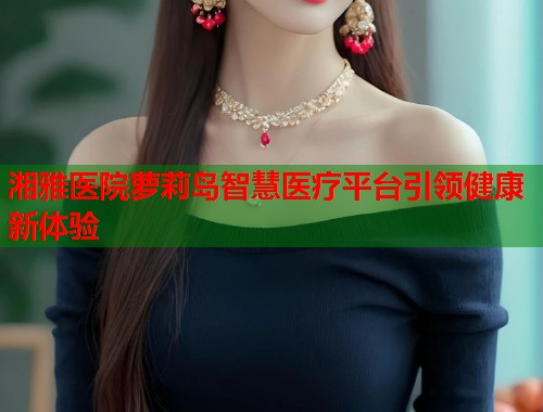 湘雅医院萝莉岛智慧医疗平台引领健康新体验  第1张