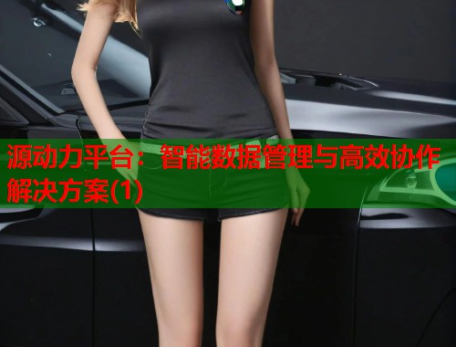 源动力平台：智能数据管理与高效协作解决方案(1)  第1张