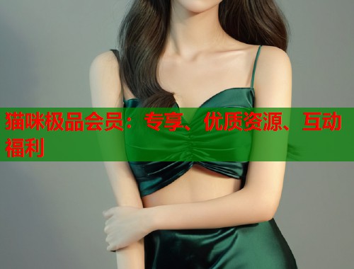 猫咪极品会员：专享、优质资源、互动福利  第1张