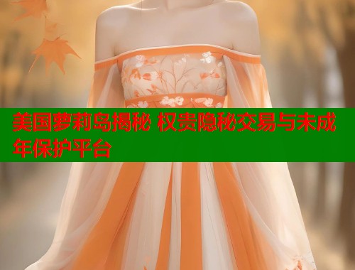 美国萝莉岛揭秘 权贵隐秘交易与未成年保护平台  第2张