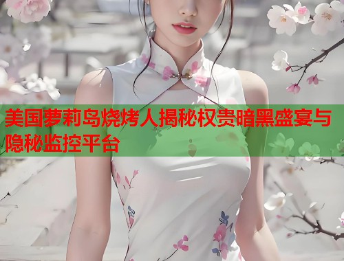 美国萝莉岛烧烤人揭秘权贵暗黑盛宴与隐秘监控平台  第1张